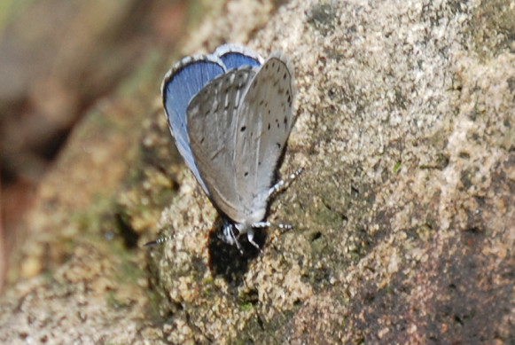 sg56-DSC_8272.jpg