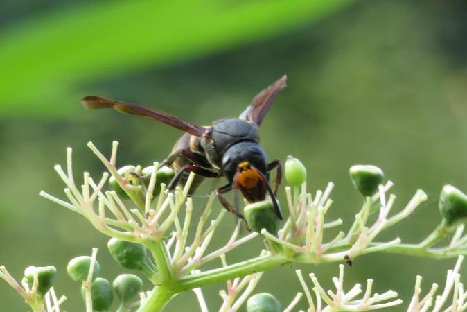 8519-IMG_4675.JPG